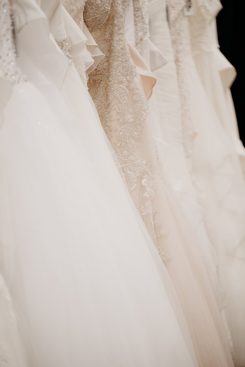 CLE bride - by Expressions Covid-19 Sample Sale